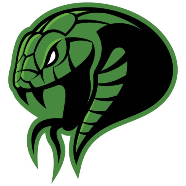 Design Book Adult - Raging Snake - AD60 Thumbnail