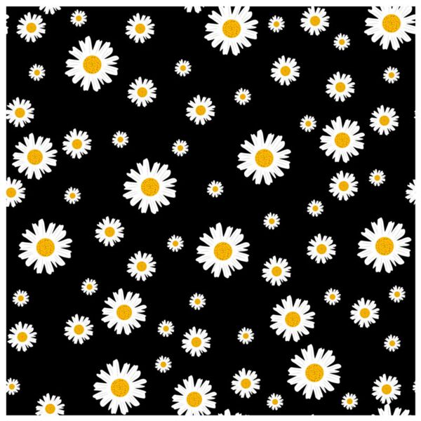 Flower  Daisies Flowers  Background Designs with Frame  Floral Background  FLR 32 Thumbnail